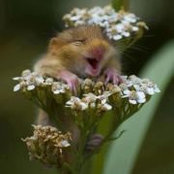 Stephanie McJunkin's photo