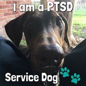 Leah McMaster's photo