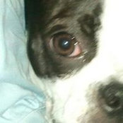 Cindy Kroll's photo