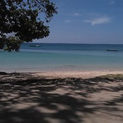 mello clarke's photo