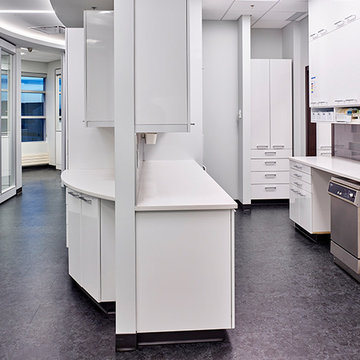 Flossophgy Dental_Wolski Design