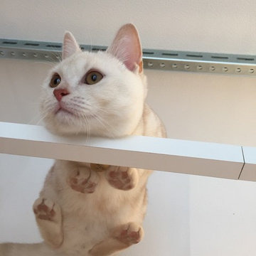ヒカリハイツ