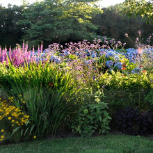 Landscape Ideas