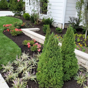 Renovation Sensation Homes Tour