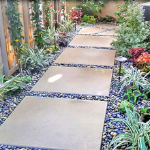 New landscaping Moreland Hills