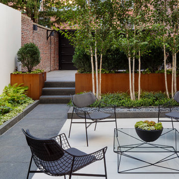 Beacon Hill Project by Site Creative