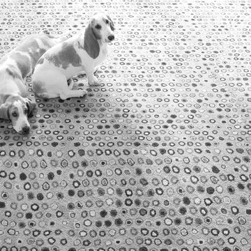 Dash & Albert Rugs
