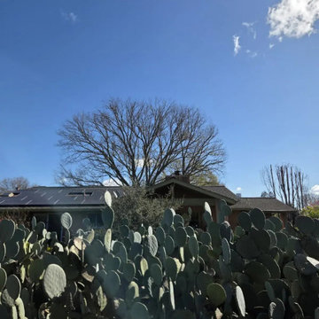 Greenview Tree Care