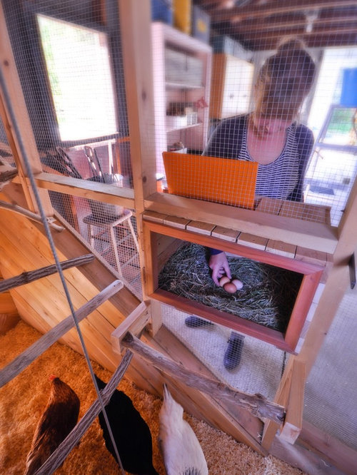 Chicken Roost Ladder Houzz