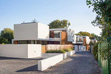 Design ideas for a contemporary exterior in Dublin.