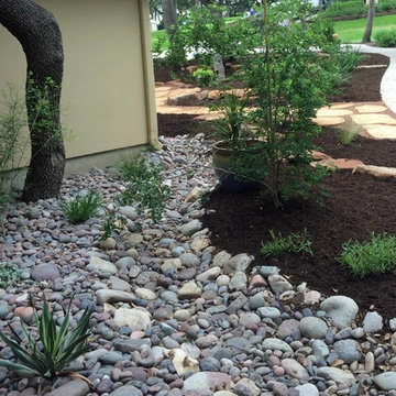 XERISCAPES, recent 2015