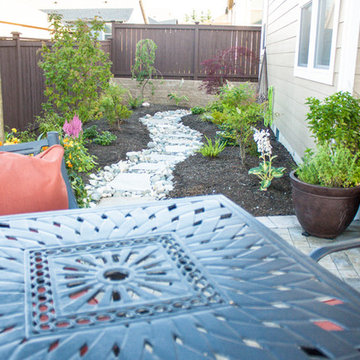 Backyard Walkway View