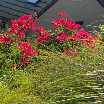 Fairbanks Ranch Landscape Architect and Design