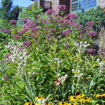 Island Border Vignette