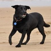 Jackie Young's photo