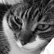 Dorrie Raymond's photo