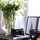 webuser_6457766