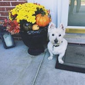 Kate Waldron's photo
