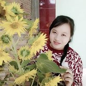 Sunflower Nguyens foto