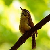Andi Hennings's photo