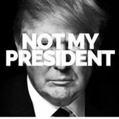 Hillary Demetropoulos's photo