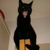 Helen Edgar's photo