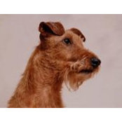 Darlene Taylor's photo