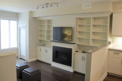 This is an example of a contemporary family room in Toronto.