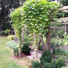 dawn_hoover4112541's ideas
