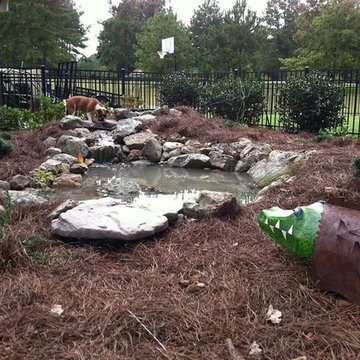 Dog Pond