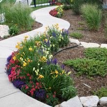 Flower Beds