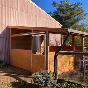 Horse Stable