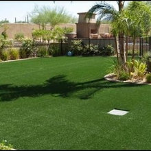 Backyard wall
