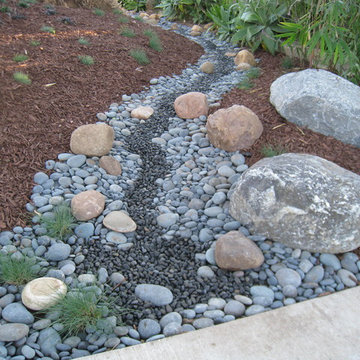 Dry Stream bed
