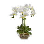 Triple Phalaenopsis Orchid In Glass Vase