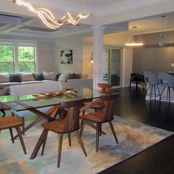 Trans-modern New Construction