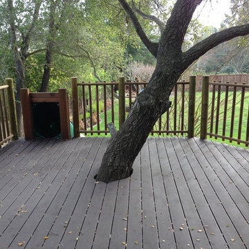 Alamo Treehouse