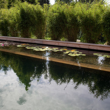 Naturpools