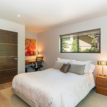 Incline Village Home - remodel, art placement, and landscape design
