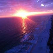 Dionne Crain's photo