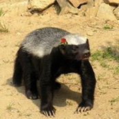 Russell Claxton's photo