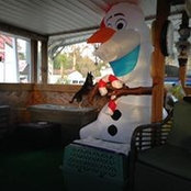 Roger Reed's photo