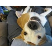 Carrie Rogers's photo