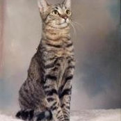 Paula McNabb's photo