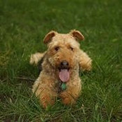 Liz Ashwin's photo