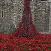 Joanna Evans Hicks's photo