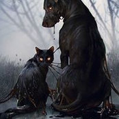 Людмила Приседко's photo