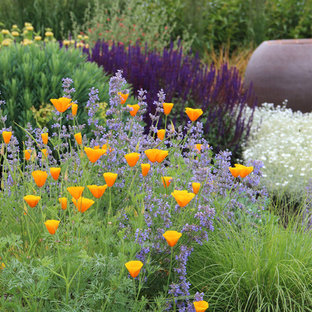 Réalisation d'un jardin avant marin avec une exposition ensoleillée.