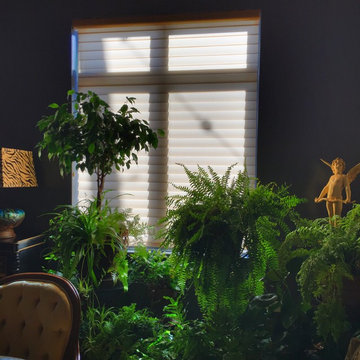 Hunter Douglas Silhouettes