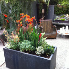 Small Space Gardens
